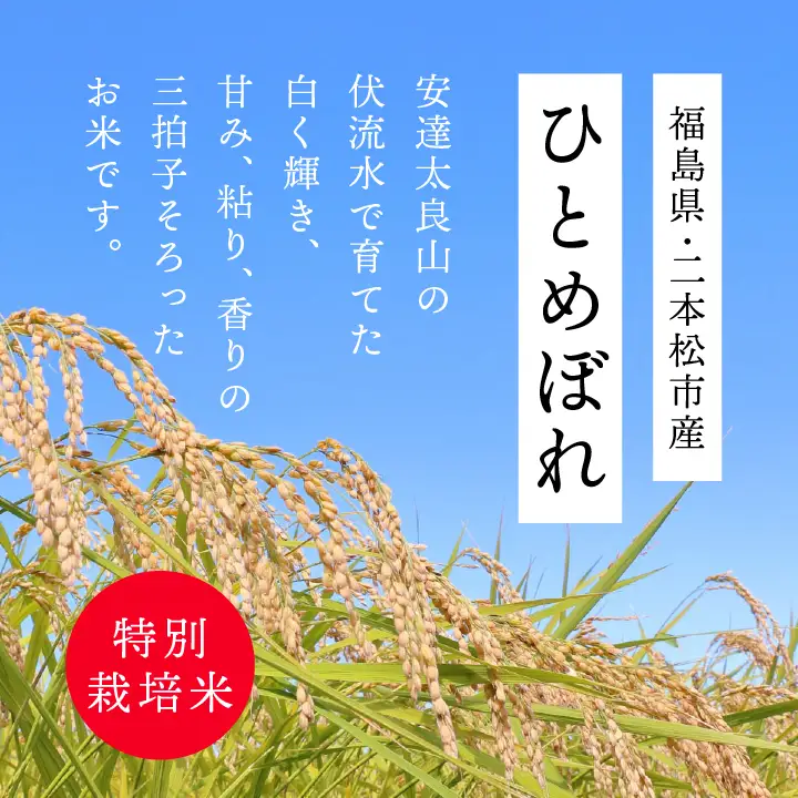米 令和7年産 ひとめぼれ10kg【株式会社あだたら米】