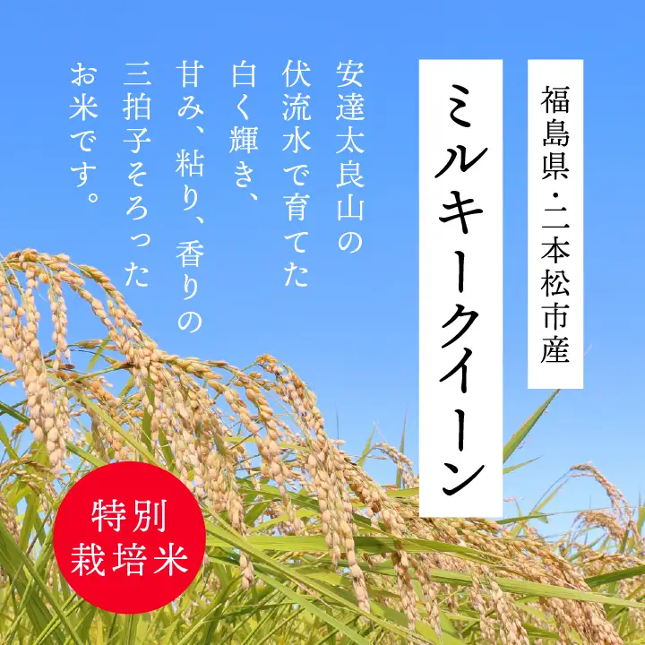 米 令和7年産 ミルキークイーン5kg【株式会社あだたら米】