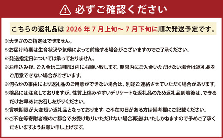 レッドメロン 大玉 4玉 （1玉 約2kg） 【2026年7月上旬～2026年7月下旬発送予定】 果物 フルーツ メロン めろん 赤肉 赤肉メロン 贈答 北海道 浦臼町