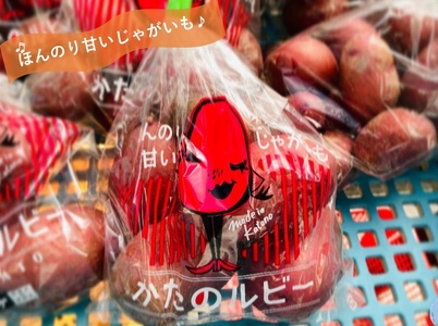 ほのかに甘い かたのルビー (レッドムーン・じゃがいも) 4kg [0200]