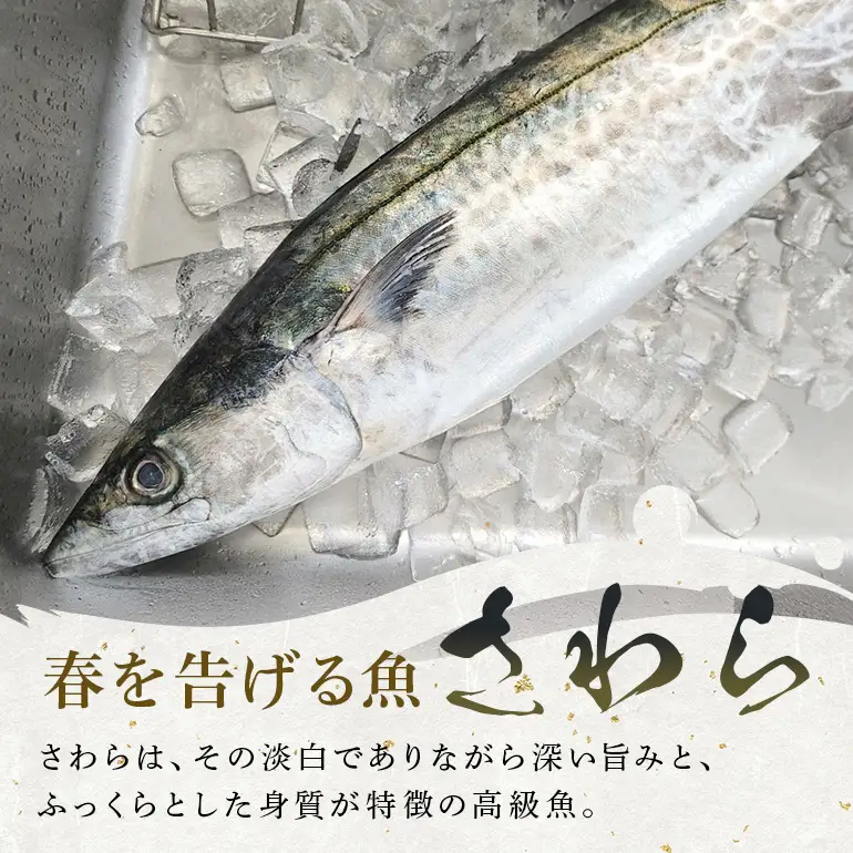 鰆西京漬けセット(1切れ×8パック) サワラ 鰆 さわら パック 冷凍 取り寄せ 贈答 ギフト 産地直送 海産物 加工品 海の幸 魚 さかな 沖縄 糸満 西京 漬け セット 海鮮 料理 沖縄県 糸満市 71-5