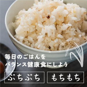 健康重視ヘルシーブレンド 2.4kg(400g×6袋)