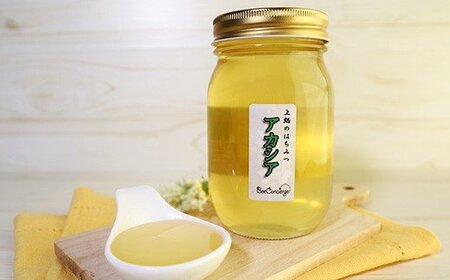 【定期便 3回】純国産 アカシアはちみつ 260g｜非加熱 純粋 天然 蜂蜜 単花蜜 アカシヤ ハチミツ ギフト｜千葉県 君津市