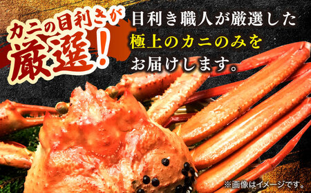 紅 ずわいがに姿 2枚 ALDN004 ズワイガニ 蟹