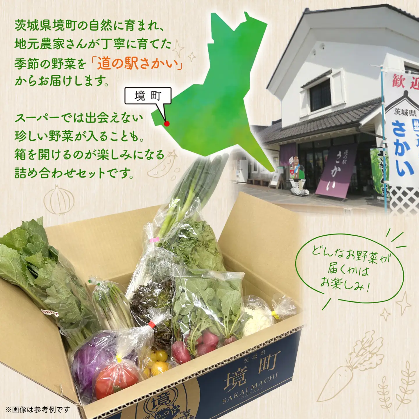 K2577 【定期便/3ヶ月連続お届け】さかいの採れたて 野菜セット(5～8種) 道の駅さかい おまかせ 産地直送 新鮮