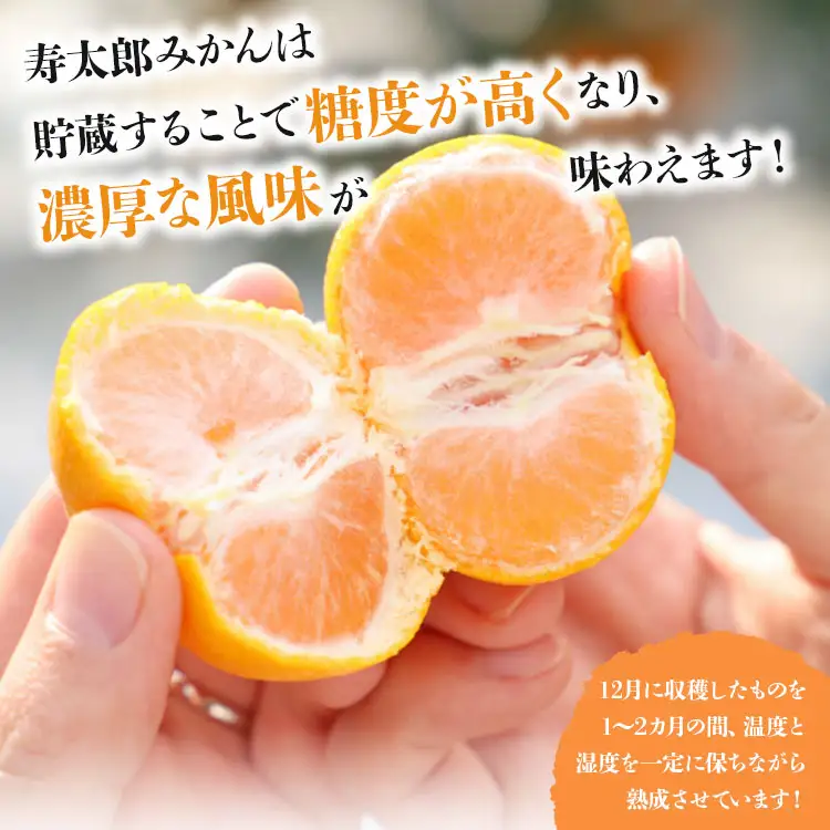 間城農園 甘い完熟みかん 寿太郎 (家庭用) 5kg【寿太郎みかん くだもの 柑橘 フルーツ】 ms-0087