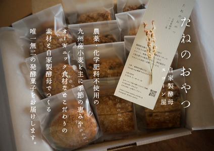プラリネバターサンドと自家製酵母スコーン【たねのおやつ】_HA1674