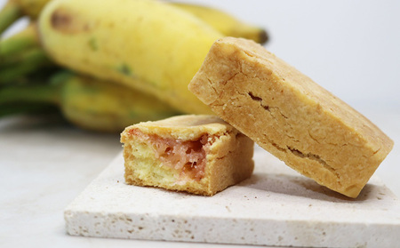 琉球甘蕉ケイク2箱（プレーン・カカオ）各5個入 沖縄 おきなわ おかし お菓子 バナナ アップルバナナ ばなな 伝統 特産品 ふるさと納税 送料無料 名護市 なご スイーツ お土産 お取り寄せ 人気 カカオ かかお