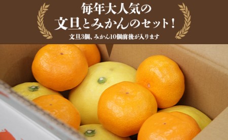 文旦とみかんのプチBOX 約3kg - 果物 くだもの フルーツ 柑橘類 ぶんたん ブンタン ミカン 詰め合わせ つめあわせ セット 食べ比べ お楽しみ おいしい 特産品 ms-0088