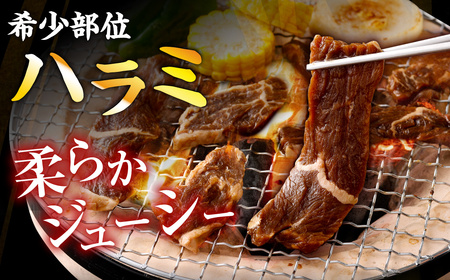 やわらか 牛ハラミ（サガリ）肉 極旨秘伝醤油タレ漬け 合計300g（300g×1袋）【訳あり】ハラミ 牛肉 ZS-553