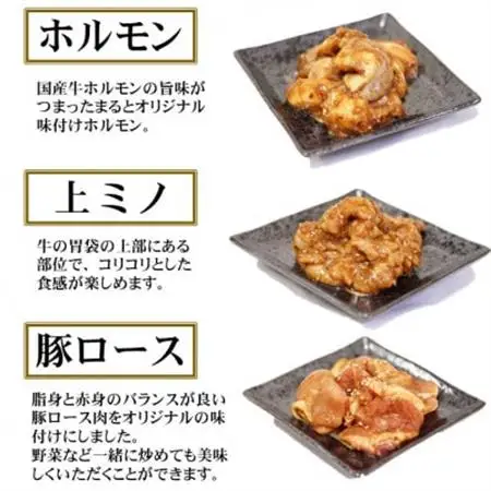 【飛騨牛】焼肉4種セットA-3　ロース・肩ロースと味付けホルモンなど　合計1kg【配送不可地域：離島】【1619896】