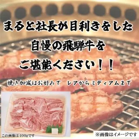 【飛騨牛】ロース・肩ロース焼き肉　500g(牛脂付き)【配送不可地域：離島】【1619911】