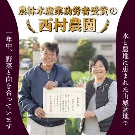 なす3~4種類おまかせ10本!(水なす・フルーツなす・千両なす・ふわとろ長なす)_野菜 茄子  なす ナス_【1613688】