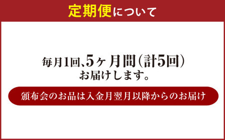 【定期便5か月】アサヒ生ビール（マルエフ）500ml×24本（1ケース） 