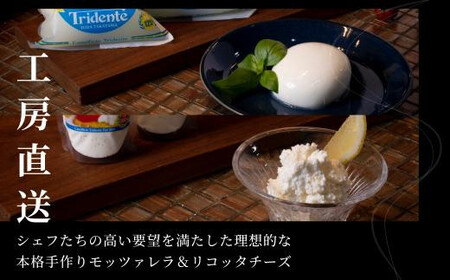 飛騨生乳100％ モッツァレラ1個＆リコッタ1個セット | セット チーズ 冷蔵 濃厚 低温殺菌 乳製品 おいしい 人気 チーズ工房トリデンテ LF011
