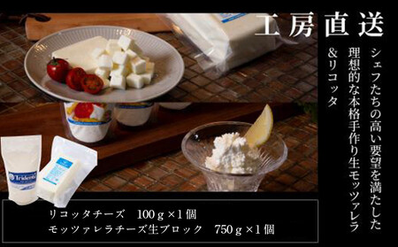 飛騨生乳100％ リコッタ1個 &  モッツァレラチーズ生ブロック1個セット | セット チーズ 冷蔵 濃厚 低温殺菌 乳製品 おいしい 人気 チーズ工房トリデンテ LF017