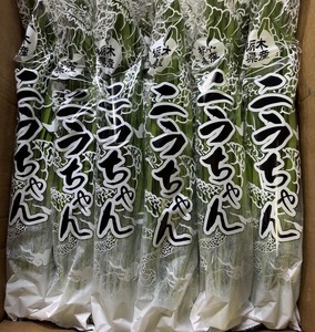 栃木県産こだわりニラ100g×50束 ｜ さくら市 にら 韮 野菜 国産
