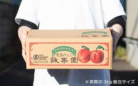 特選 (大玉) 青森産 完熟 りんご 約3kg サンふじ 王林 2種セット 【誠果園】 F21U-219