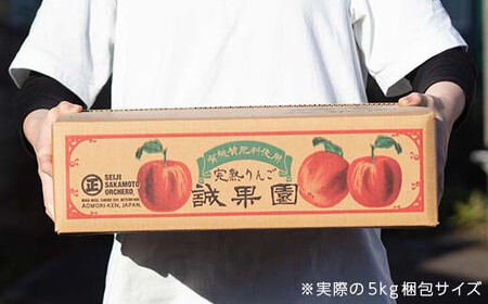特選 (大玉) 青森産 完熟 りんご 約5kg サンふじ 王林 2種セット 【誠果園】 F21U-220