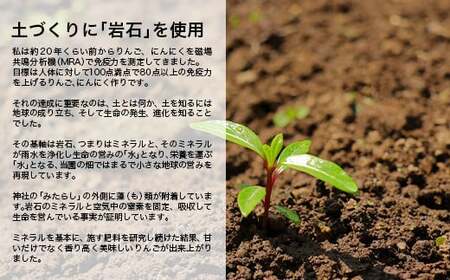 ≪先行予約≫ 有機JAS認証 サンふじ りんご 約5kg 【和楽堂りんご養生農苑】 青森りんご リンゴ 林檎 アップル 果物 くだもの フルーツ オーガニック 無農薬 おすすめ あおもり 青森県 三戸 南部町 3kg 以上 F21U-326