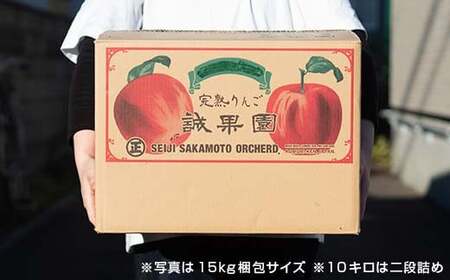 秀 （小玉） 青森産 完熟 りんご 約10kg サンふじ 王林 2種セット 【誠果園】 F21U-225