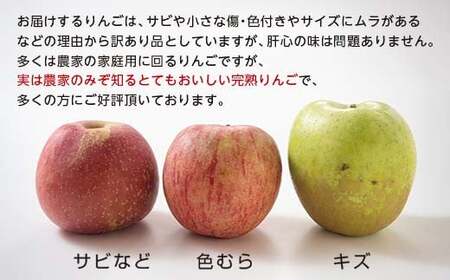 【訳あり】 青森産 完熟 りんご 約15kg サンふじ 王林 2種セット （中～大玉） 【誠果園】 F21U-228