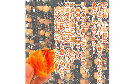 北限の渋柿 250年以上続く妙丹柿 半生干し柿 あんぽ柿 15玉 【なんぶ農援】 贈答可 干し柿 妙丹柿 半生 渋柿  柿 かき デザート フルーツ 果物 くだもの 果実 食品 F21U-118