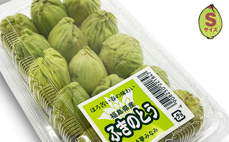 収穫から24時間以内に発送！ほろ苦い春の味わい「ふきのとう」Sサイズ1パック100g（約15個） F21T-351