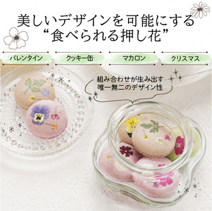 ドライ エディブルフラワー ブルーミックス 50枚　食用花 押し花加工 ケーキ トッピング デコレーション マカロン メレンゲ アイシングクッキー バレンタイン EB-0002