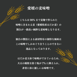 創業100余年 老舗 マルヤス味噌 極甘口 純麦味噌 吟みそ 700g × 4パック 計2.8kg ふるさと納税 人気 おすすめ 希少品 はだか麦 国産 甘口 老舗 発酵食品 愛媛県 愛南町 マルヤス味噌