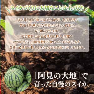 スイカ すいか 西瓜 2L 大玉 甘い 茨城県産 阿見町 産地直送 夏限定 フルーツ シャリ感 春 旬 夏 先行予約【2026年6月下旬より順次配送】（73-02）