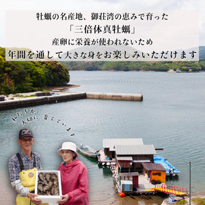 【7営業日以内発送】愛南 オイスター 3kg  牡蠣 加熱用 殻付きかき