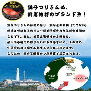 金目鯛 フィレ 2枚 鯛