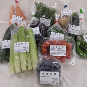 蔵王産 季節の恵み詰合せセット　【04301-0021】