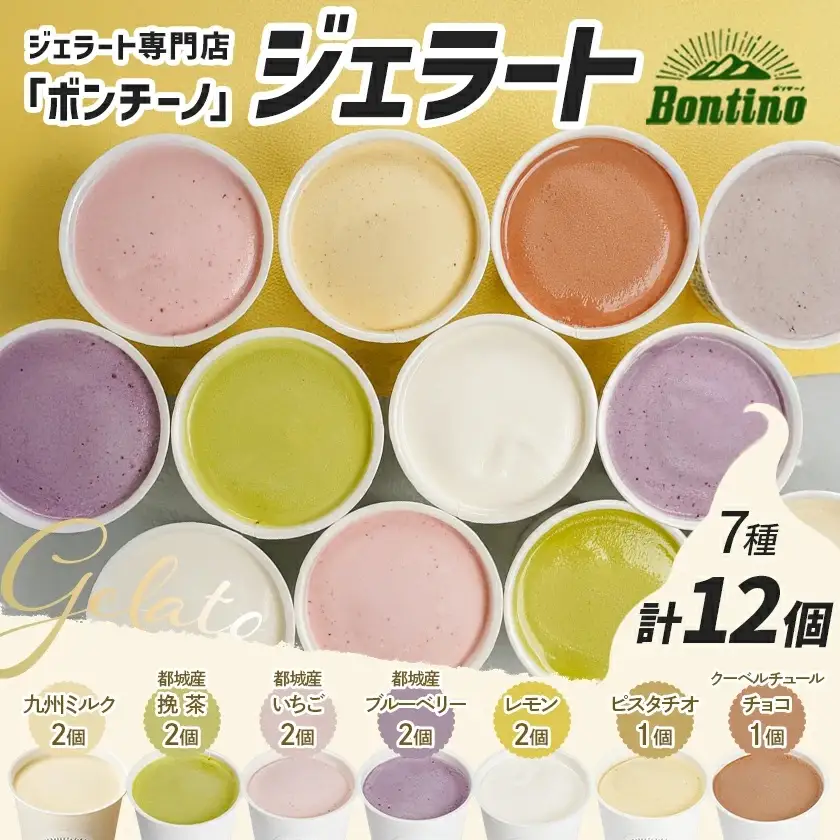 ジェラート専門店「ボンチーノ」7種12個セット_MJ-1565