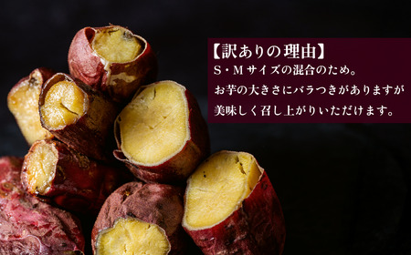 【 訳あり 】 冷凍焼き芋 紅はるか 3kg 【 さつまいも さつま芋 サツマイモ 焼芋 やきいも スイーツ 甘味 わけあり 人気 おやつ スイートポテト 大学芋 大学いも 】