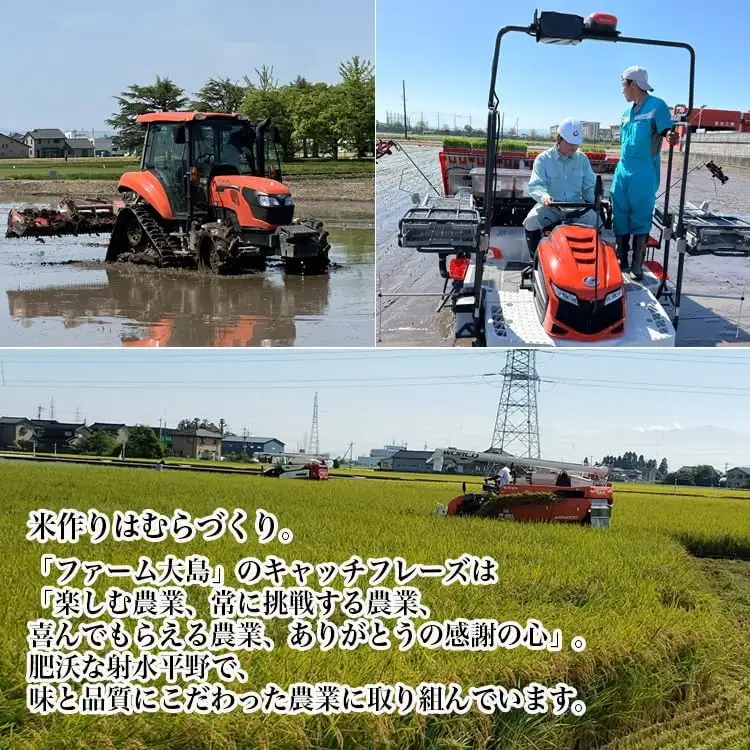 【R8年度産米】総理大臣賞受賞 人気のブランド米「富富富」10kg（5kg×2）【玄米】｜ お米 令和8年産米 銘柄米 こめ 小分け 5kg 10kg 5キロ 10キロ 三世代交流 白米 富山県 射水市おおしま ほほ笑み米 ※離島への配送不可 ※2026年10月上旬～10月下旬頃に順次発送予定