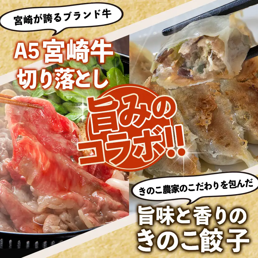 きのこ餃子48個&宮崎牛(A5)霜降り切り落し600g〔AD-8701〕_(都城市) ギョウザ 12個入り 4パック 椎茸 きくらげ 都城産ブランド豚 きなこ豚 きゃべつ ニラ ニンニク使用 ヘルシー餃子 大杉しいたけ園 都城産宮崎牛 切り落し 肩 バラ 霜降り