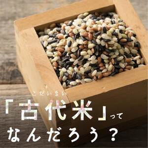 国産古代米4 種ブレンド 24kg(400g×60袋)