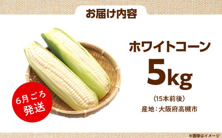 【6月以降発送予定】ホワイトコーン 5kg/15本前後[AOCS029]