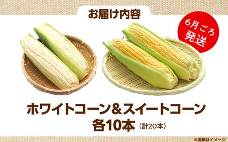 【6月以降発送予定】とうもろこし 食べ比べセット[AOCS030]