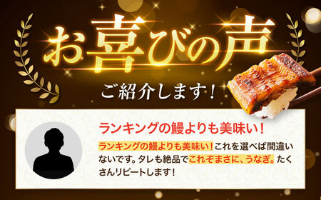 うなぎ【全6回定期便】（2尾×2箱）鰻[AGAH020]うなぎ