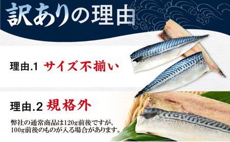 訳あり 塩 サバ 約1.4kg 9枚 冷凍 鯖 塩 サバ 魚 さかな 海鮮 海産物 おかず 鯖ご飯 おすすめ 人気 鯖 魚 魚介 海鮮