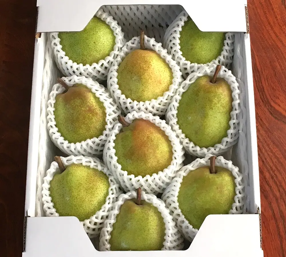 西洋梨（ラ・フランス）３ｋｇ　８～１１玉　特秀品　化粧箱入　0049-2611
