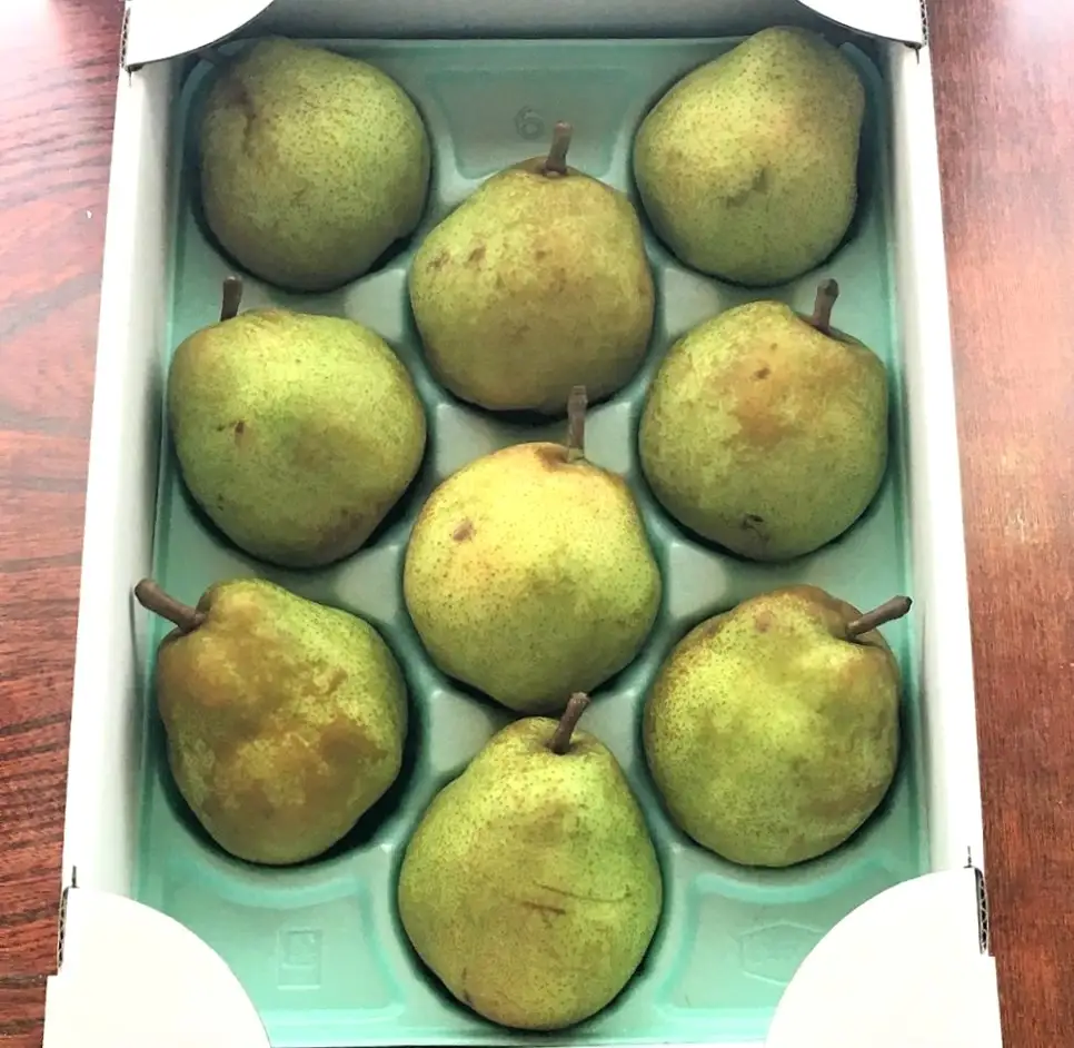 西洋梨（ラ・フランス）３ｋｇ　８～１１玉　ご家庭用　0049-2610