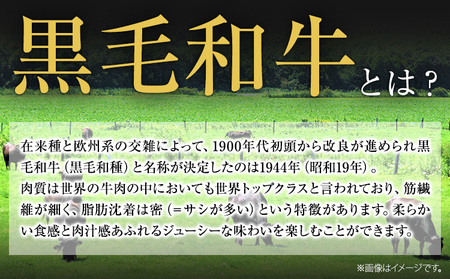 黒毛和牛 外モモ 赤身 ローストビーフ用 ブロック 500g ローストビーフ用《30日以内に出荷予定(土日祝除く)》