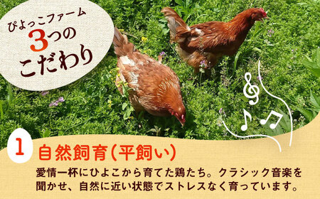 平飼い 新鮮 たまご 元気玉 計20個 たまご BHAP001