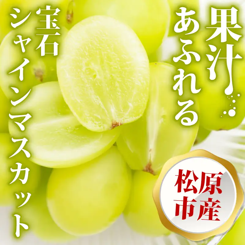 【シャインマスカット】 大粒 先行予約 500g 1房 シャインマスカット