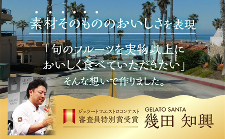 豊橋の恵みが詰まった新鮮＆ヘルシーなジェラート 6個入 アイス ジェラート ヘルシージェラート ジェラートサンタ