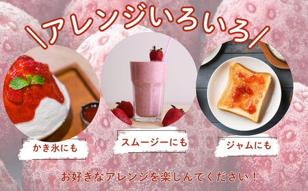 【数量限定】完熟古都華 の 冷凍いちご（古都華） 奈良ブランド苺 イチゴ フルーツ 果物 国産 冷凍 人気 かき氷 フローズン スムージー ジャム アレンジ スイーツ 『6FARM』  10-212